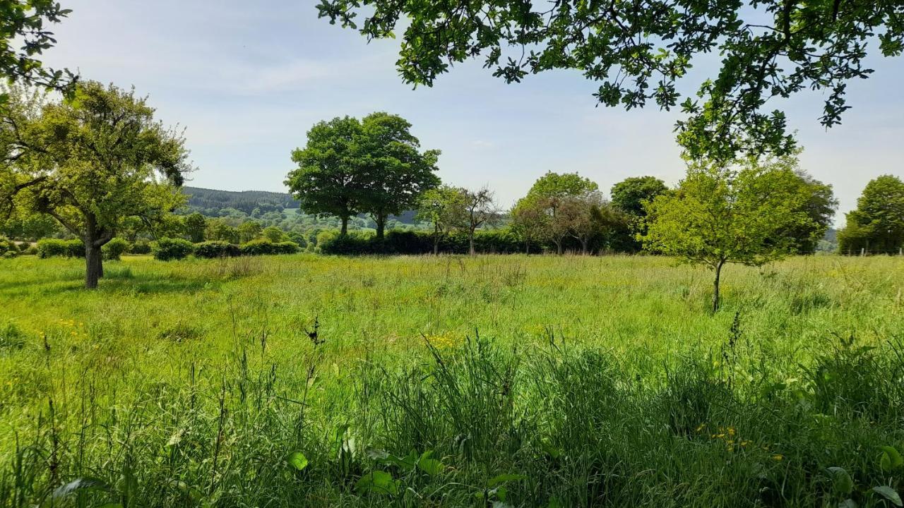 Gite Cottage Chaleureux En Pleine Campagne Vue Sur Les Monts Et Forets Et Le Chateau De Carrouges Esterno foto